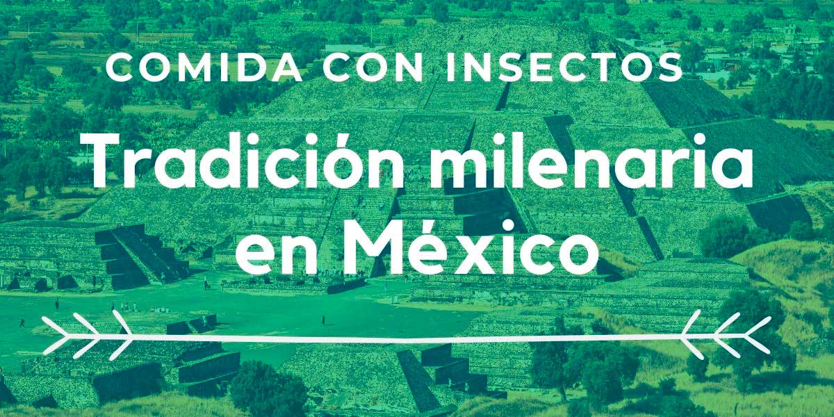 Comidas con insectos, una tradición milenaria en México