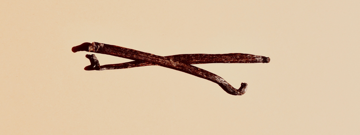 Vainilla mexicana, un aroma que encantó al mundo