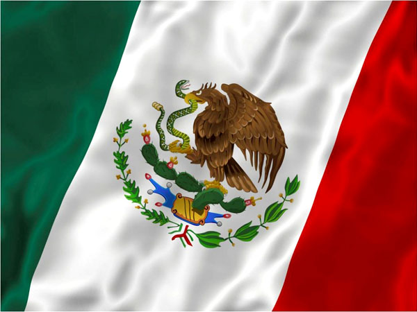 Bandera Mexicana #3 (18x10,5cm) 18x10,5cm Sin Marca
