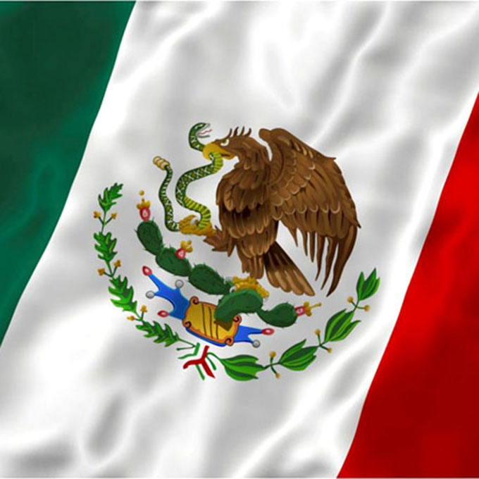 Bandera Mexicana #5 (100X60cm) 100x60cm Sin Marca